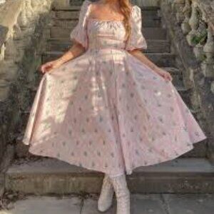 ISO  DO NOT BUY Selkie Carol Day Dress in XXS, XS, or Small